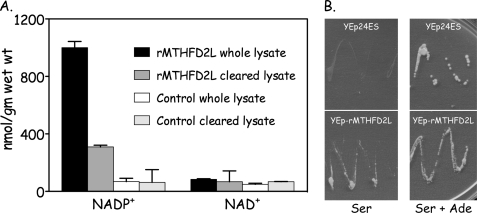 FIGURE 7.