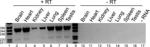 FIGURE 9.