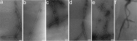 FIGURE 8.