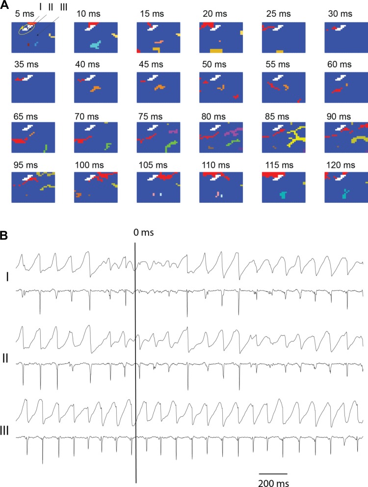 Fig. 3.