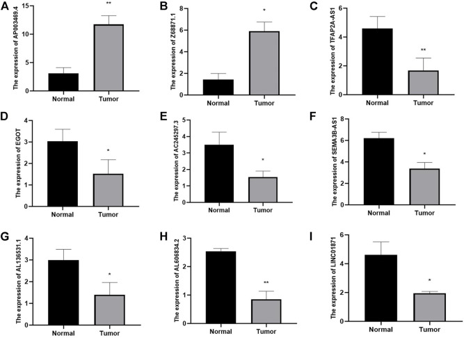 FIGURE 14