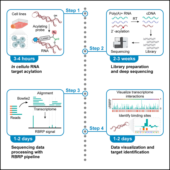 graphic file with name fx1.jpg