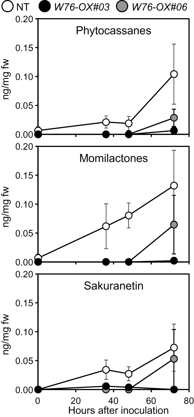 Fig. 7.