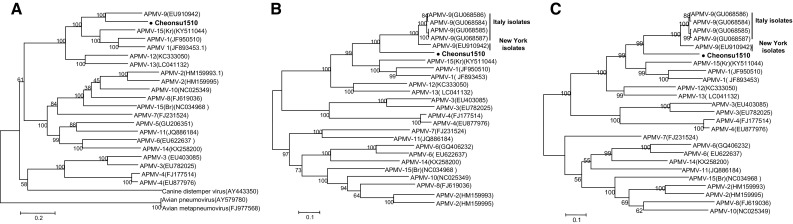 Fig. 2