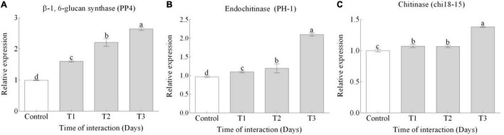 FIGURE 4