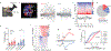 Figure 6 |