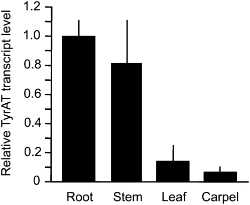 Figure 6.