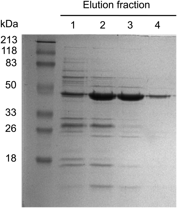 Figure 3.