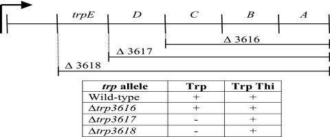 FIG. 2.