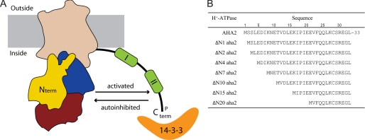 FIGURE 1.