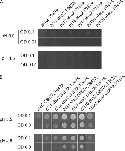 FIGURE 6.