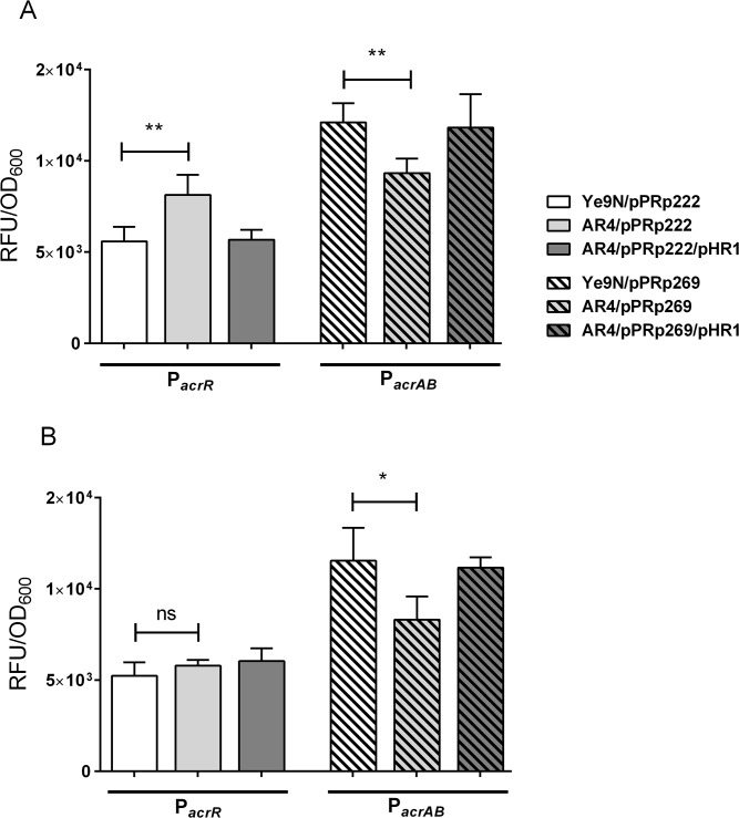 Fig 5