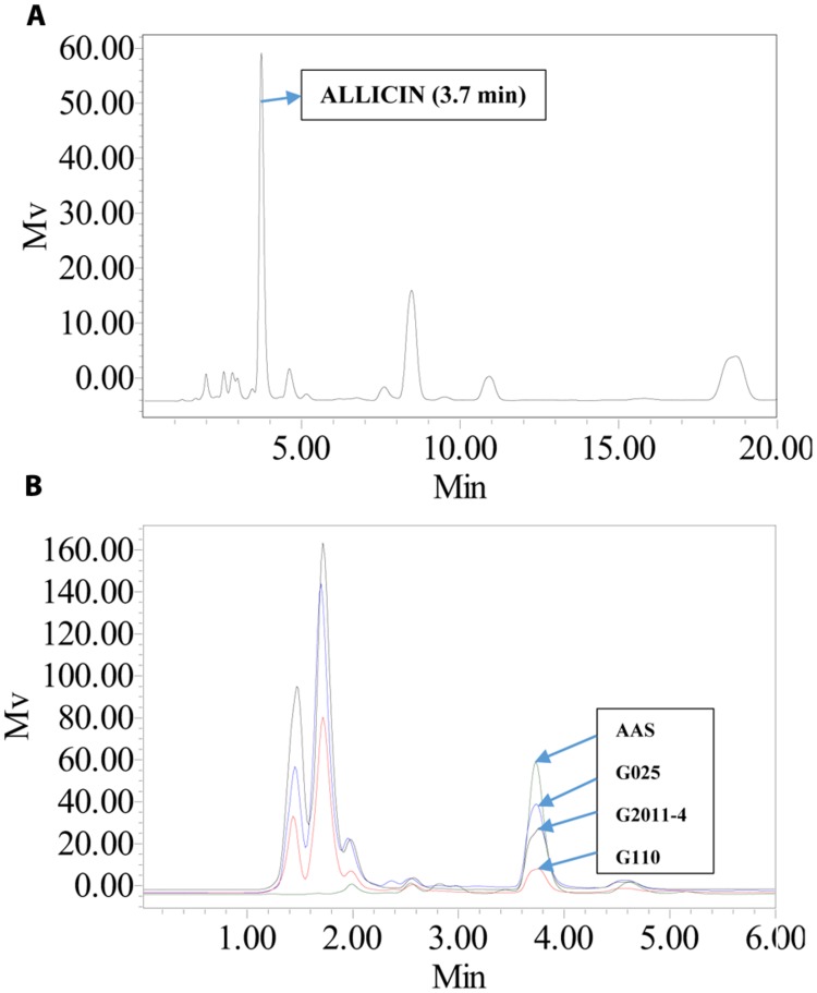 FIGURE 4