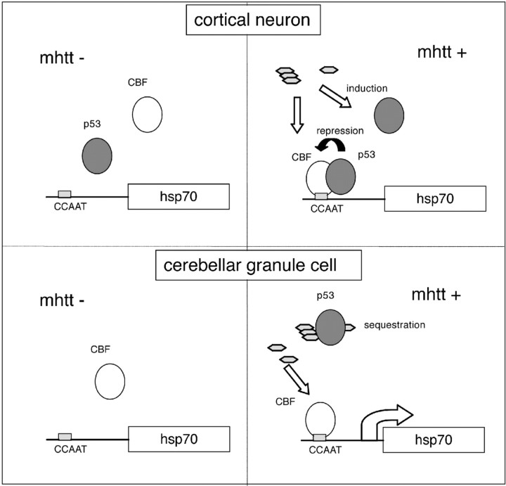 Figure 10.