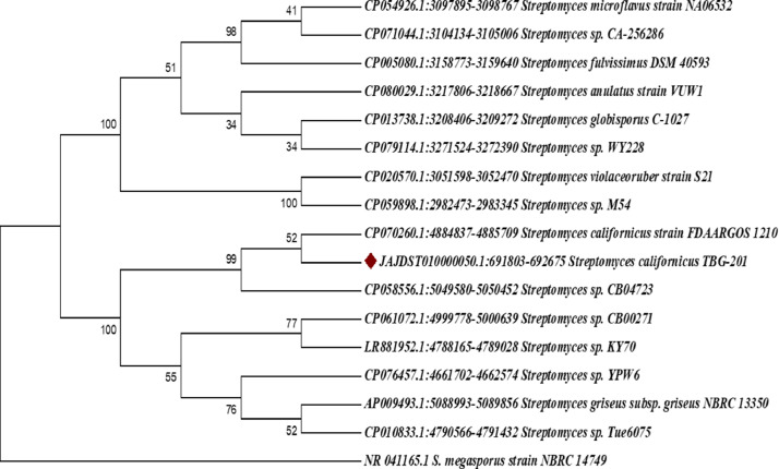 Fig 1