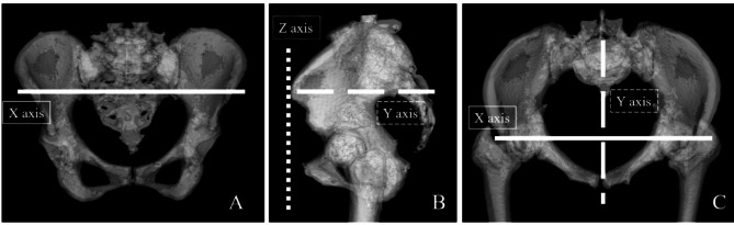 Fig. 3