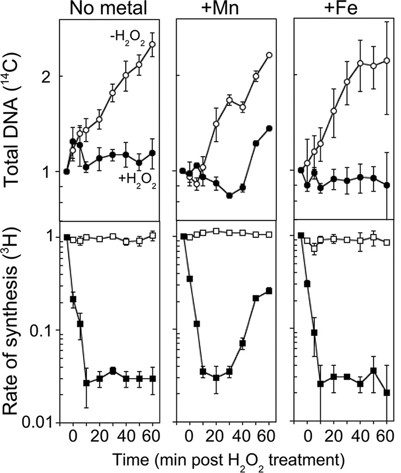 FIG 2