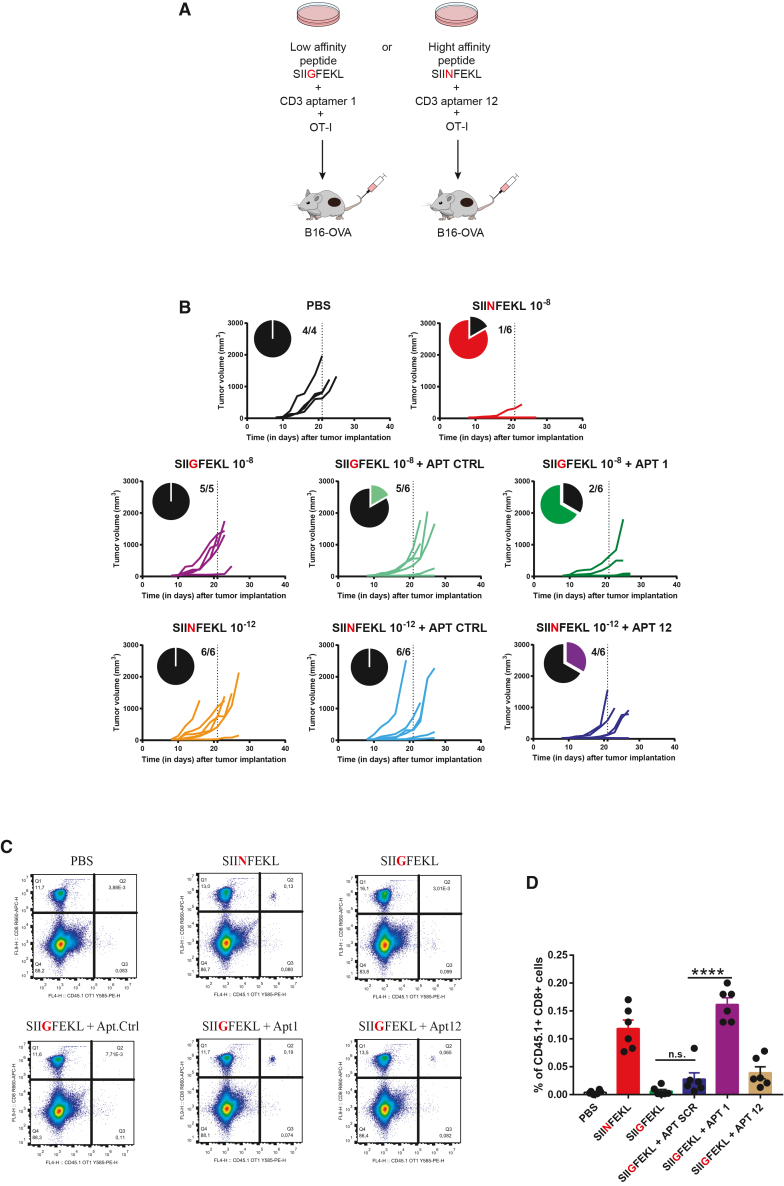 Figure 7