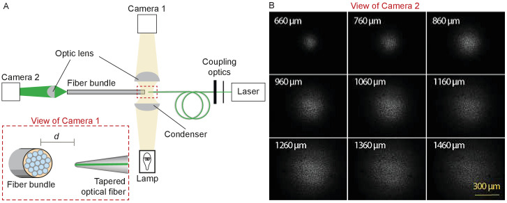 Figure 9.