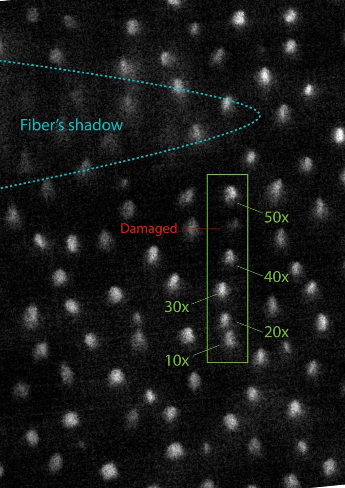 Appendix 1—figure 6.