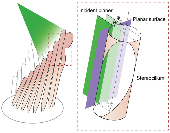 Figure 6.