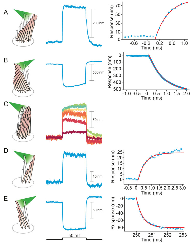 Appendix 1—figure 5.