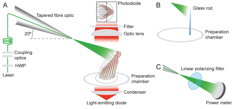 Appendix 1—figure 2.