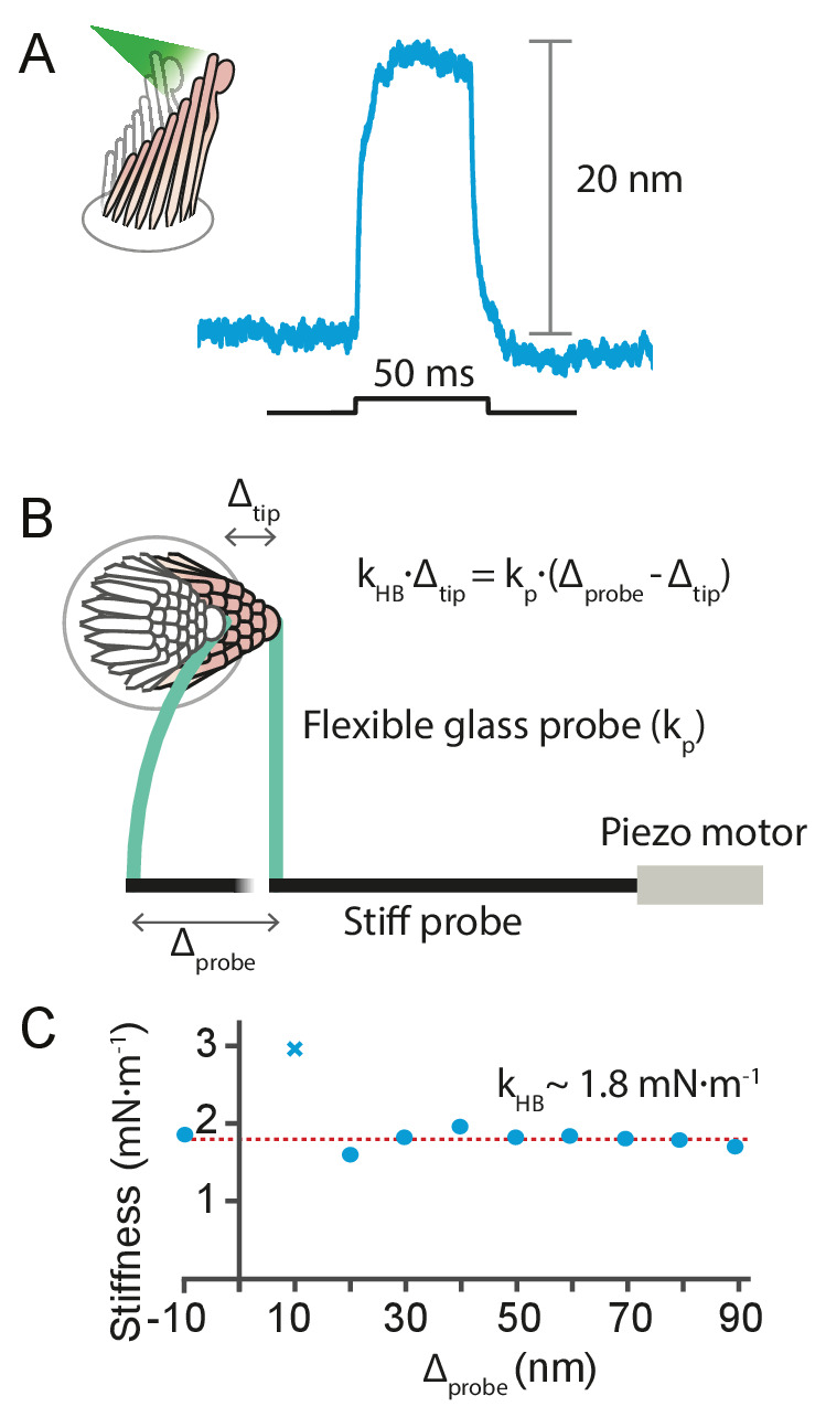 Appendix 1—figure 7.