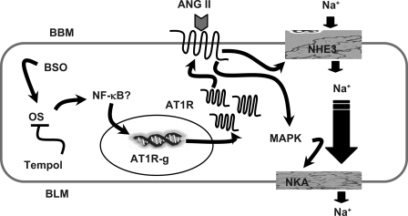 Fig. 8.