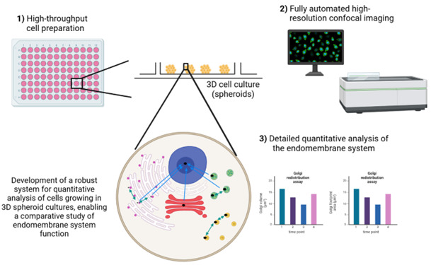 graphic file with name BioProtoc-15-11-5331-ga001.jpg