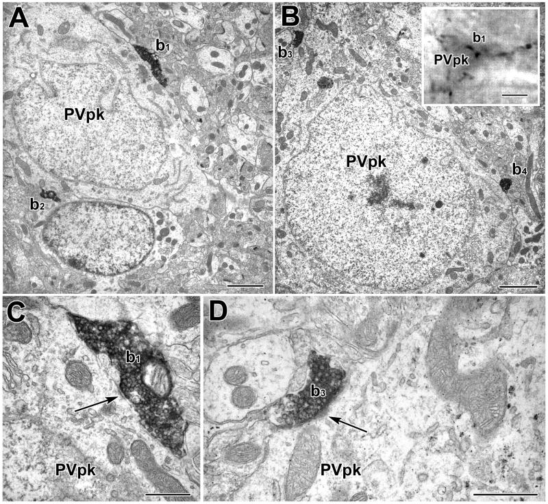 Fig. 9