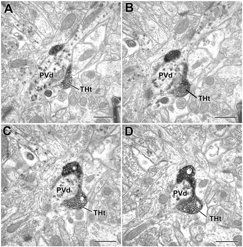 Fig. 7