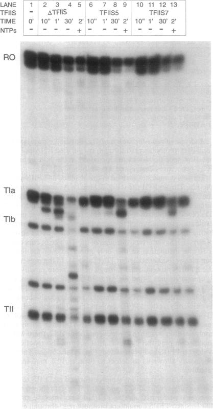 graphic file with name pnas01139-0267-a.jpg