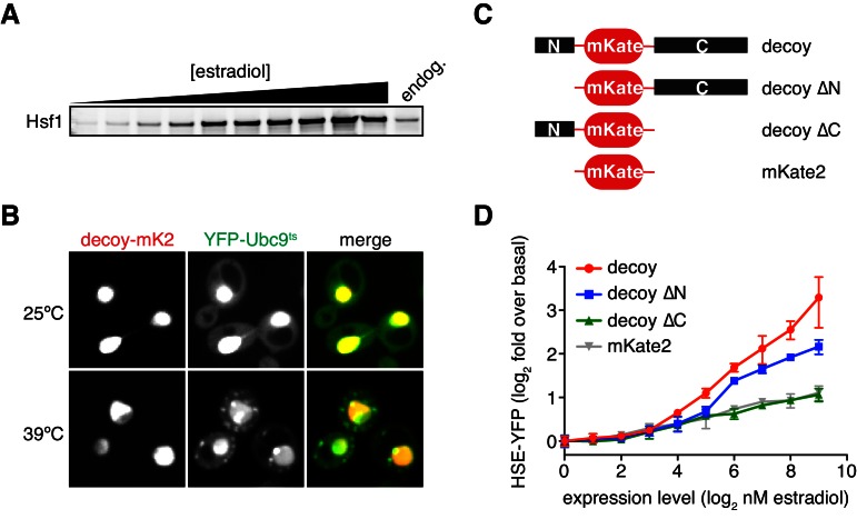 Figure 2—figure supplement 1.