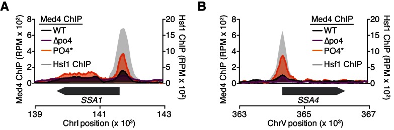 Figure 5—figure supplement 1.