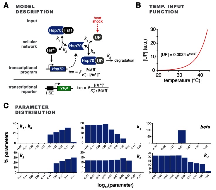 Figure 1—figure supplement 2.