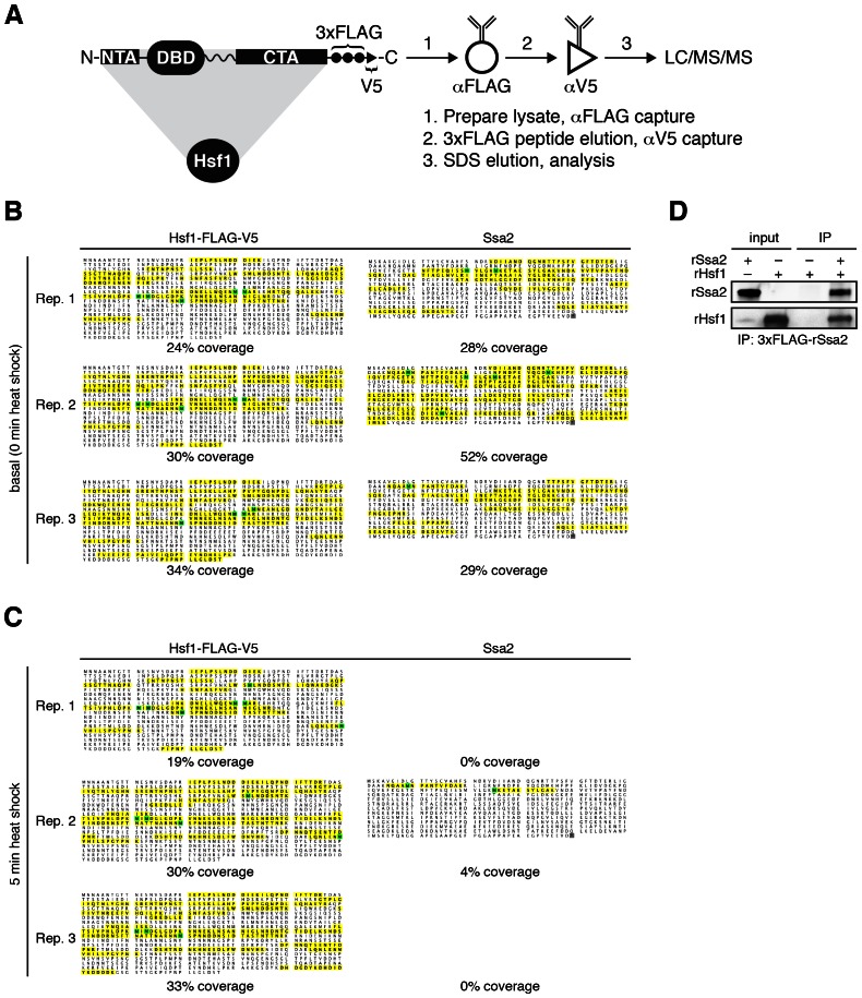 Figure 1—figure supplement 1.