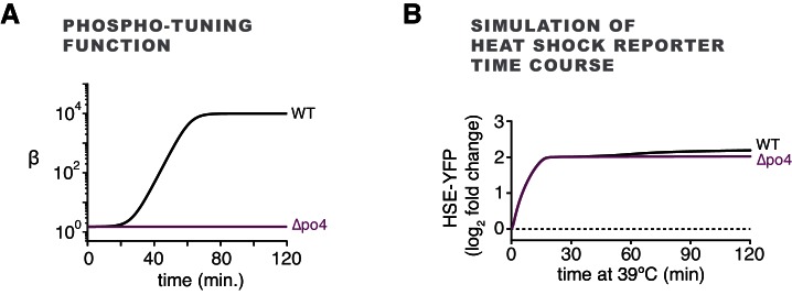 Figure 6—figure supplement 1.