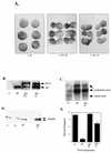 FIG. 8