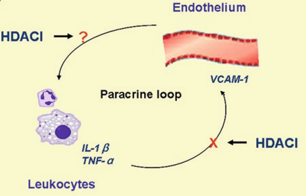 Fig. 11.3