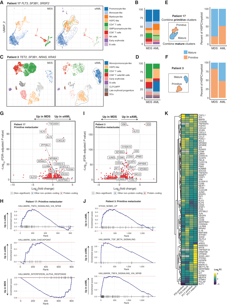 Figure 6. Single-cell RNA-seq of longitudinal samples identify transcriptional gene sets that accompany disease progression. A, Gene expression-derived UMAP embedding of all cells from scRNA-seq of two samples from patient 17, clustered with HDBSCAN and then labeled by cell type according to transcriptional signature. The dotted line encapsulates primitive and mature cells (for E, F). B, Number of cells per cluster shown and change from MDS to sAML. C and D, UMAP and cluster distribution for patient 3 as in A–B. E and F, Cells mapped from each time point and patient separately with a depiction of the creation of metaclusters that are either labeled primitive or mature. G, Differentially expressed genes for primitive metacluster for patient 17, with selected top significant genes labeled. H, GSEA plots for patient 17 primitive metacluster. I, Differentially expressed genes for patient 3 primitive metacluster. J, Patient 3 GSEA plots for primitive metacluster. K, Heatmap depicting differentially expressed genes across all metaclusters with heat based on log2 fold change increase.