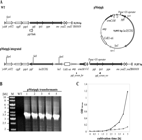 FIG. 6.