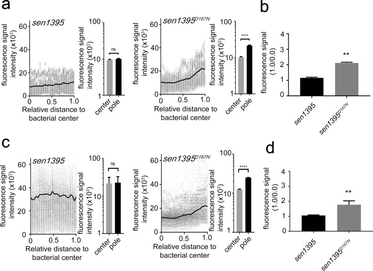 Figure 3—figure supplement 2.