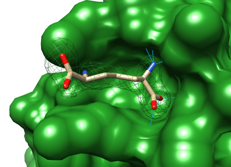 Figure 4—figure supplement 3.