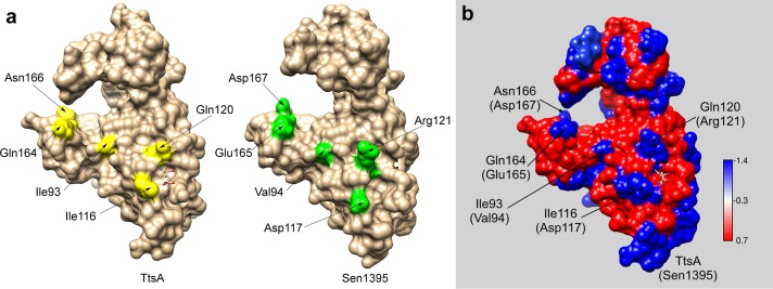 Figure 5—figure supplement 2.