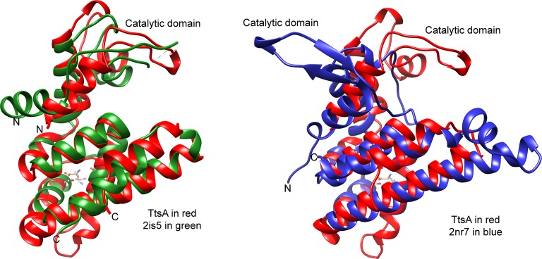 Figure 4—figure supplement 2.