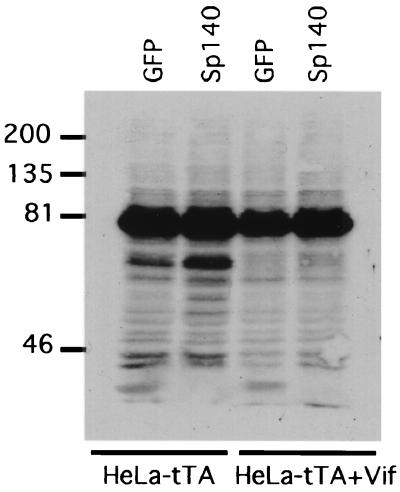 FIG. 5.