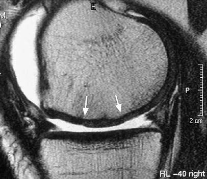 Fig. 7