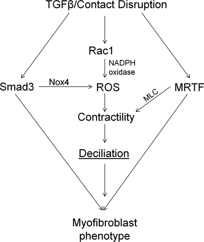 FIGURE 10: