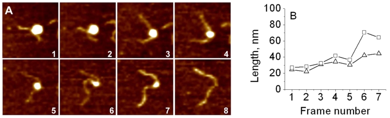 FIG. 16